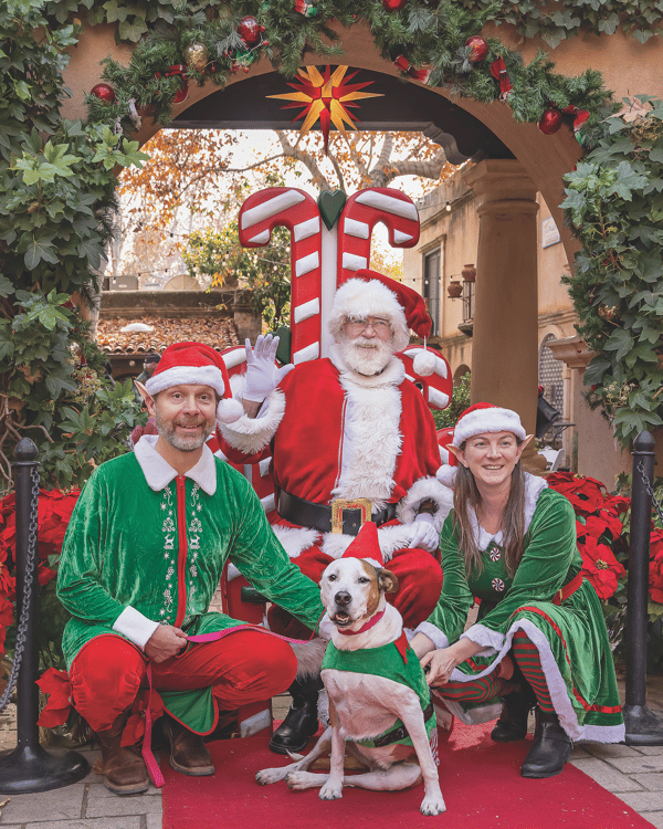 Holiday Magic at Tlaquepaque Image