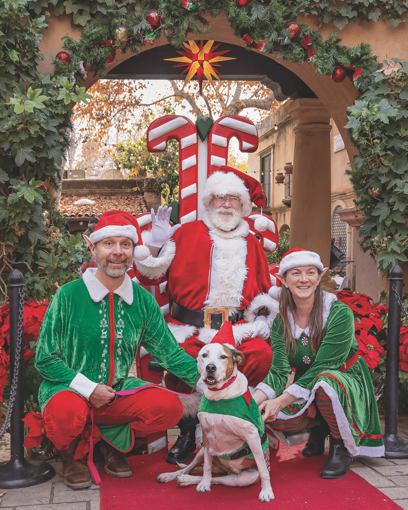 Holiday Magic at Tlaquepaque Image