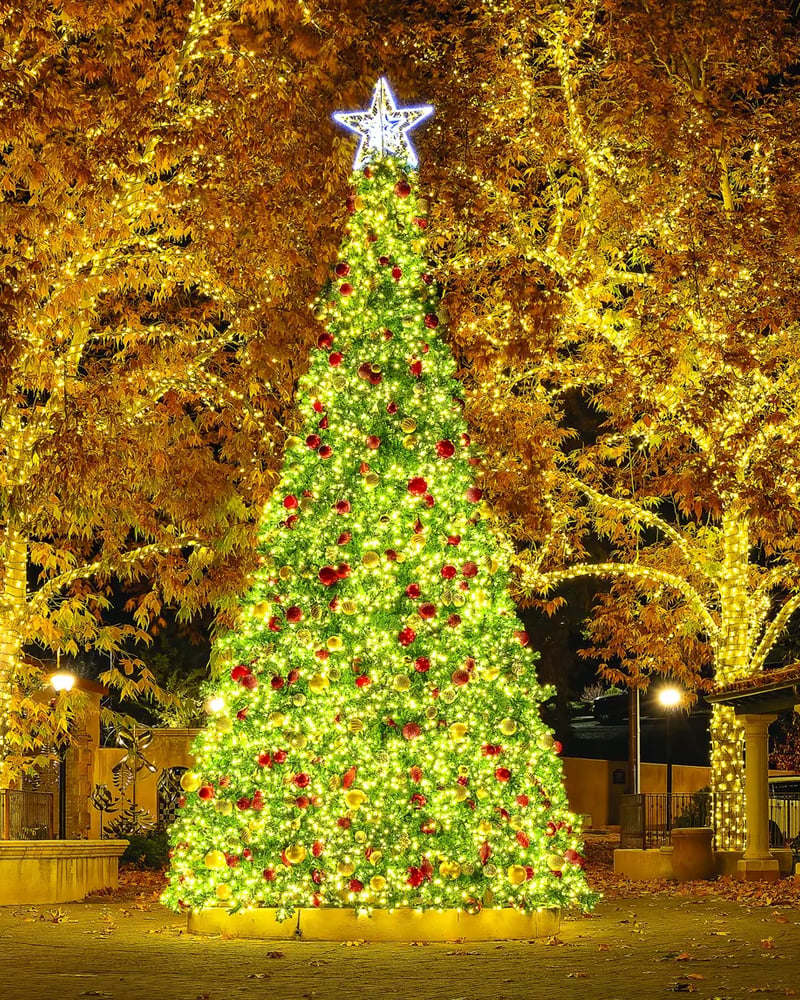 TREE LIGHTING Image